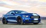 Shelby Super Snake 50th Anniversary 2017 года